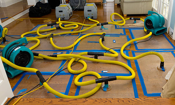 Professional Structural Drying And Dehumidification technician working in Buttonwillow, CA